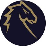 Yıldız Stallions Koç Kadrosu Güncellemeleri - 9.11.2022 | Korumalı Futbol Türkiye